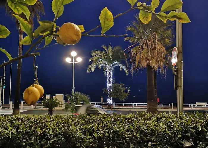 Appartement Garden Atlantide Promenade