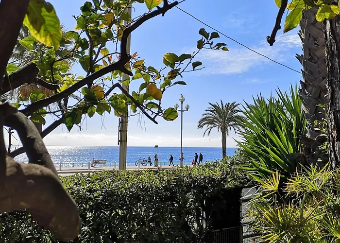 Garden Atlantide Promenade Nice