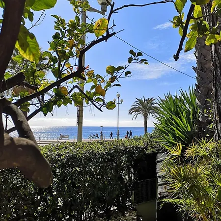 Garden Atlantide Promenade Niza