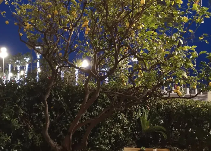 Garden Atlantide Promenade דירה *