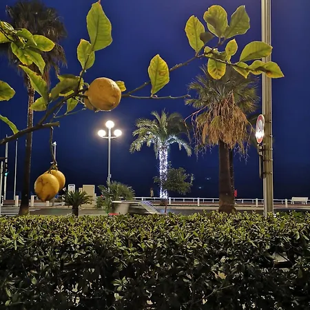 Apartment Garden Atlantide Promenade